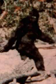 bigfoot.jpg